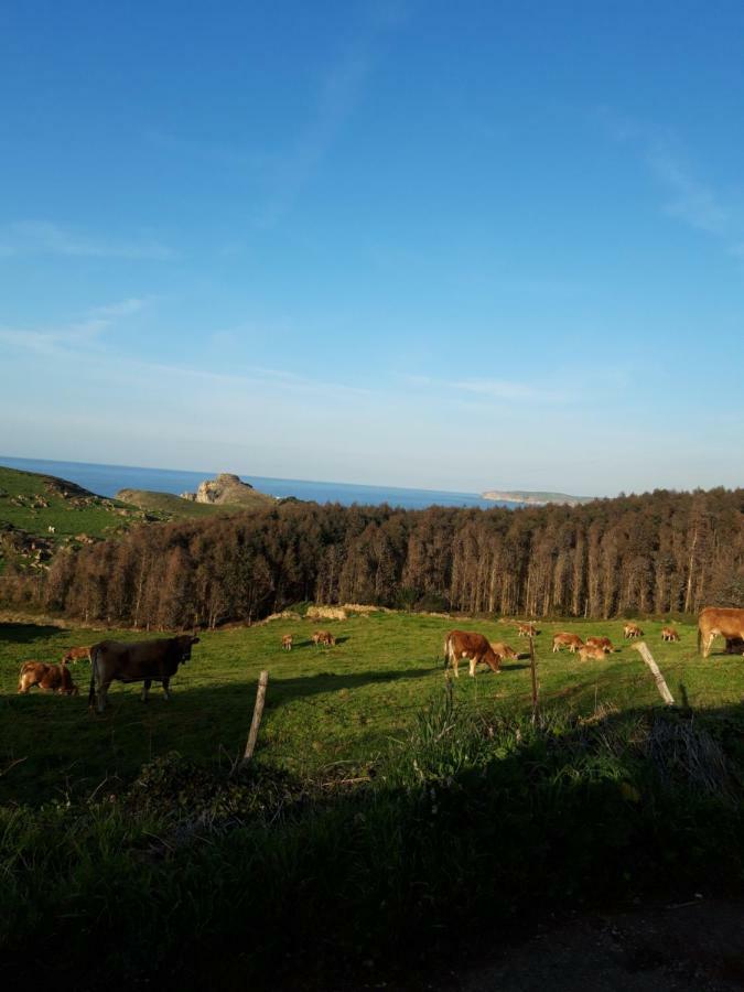 La Torruca Villa Orena Esterno foto